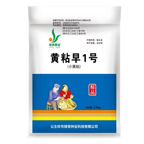 黃粘早1號(hào)